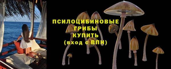 шишки Красноперекопск