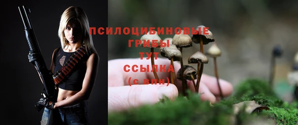тгк Краснотурьинск