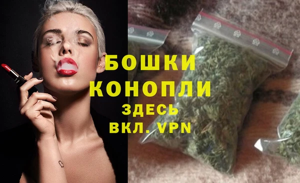 PSILOCYBIN Костерёво